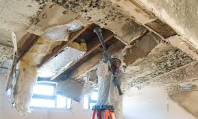 Best Residential Mold Inspection & Testing  in Lindale, GA